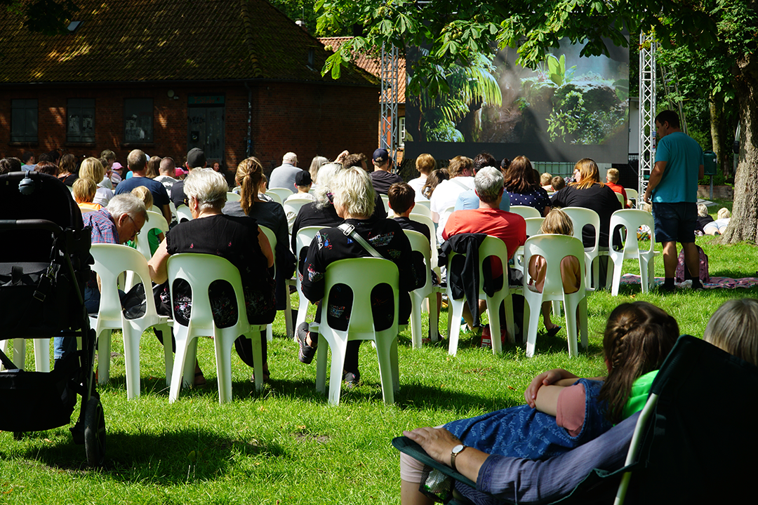 (c) Rendsburg Tourismus und Marketing Viele Menschen sitzen beim Sommerkino 2024 auf Stühlen im Rendsburger Stadtpark, weiter hinten ist die Leinwand zu sehen