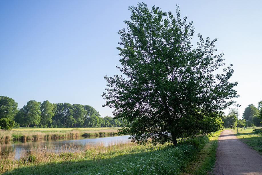 Spazierweg an der Eider entlang